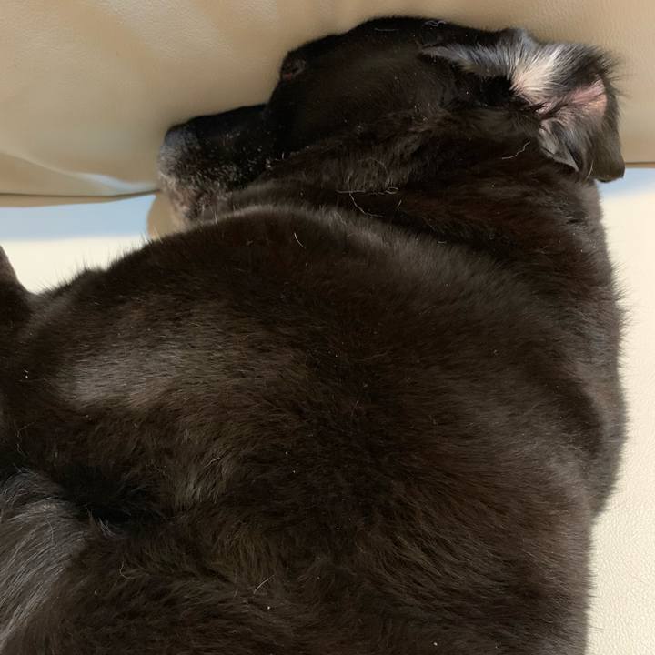 01794cd2 08ae 4669 8944 ab004b18538e 1555506614023