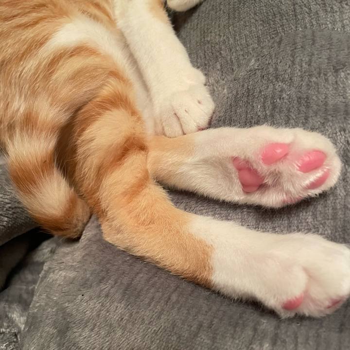 01794ce2 908f 4289 9056 c45aa5129da2 1701517515639