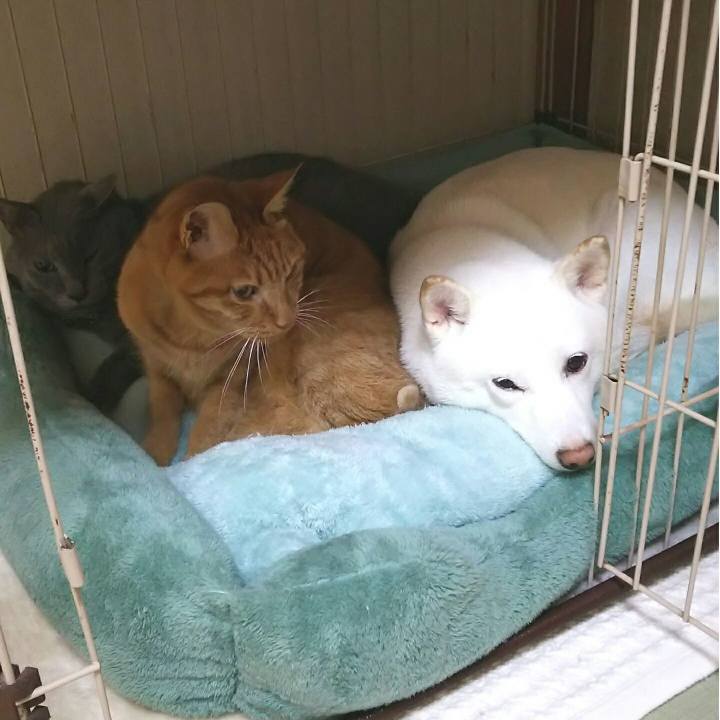 0179560a 920b 44ac ae50 b494a3271aad 1571876939916