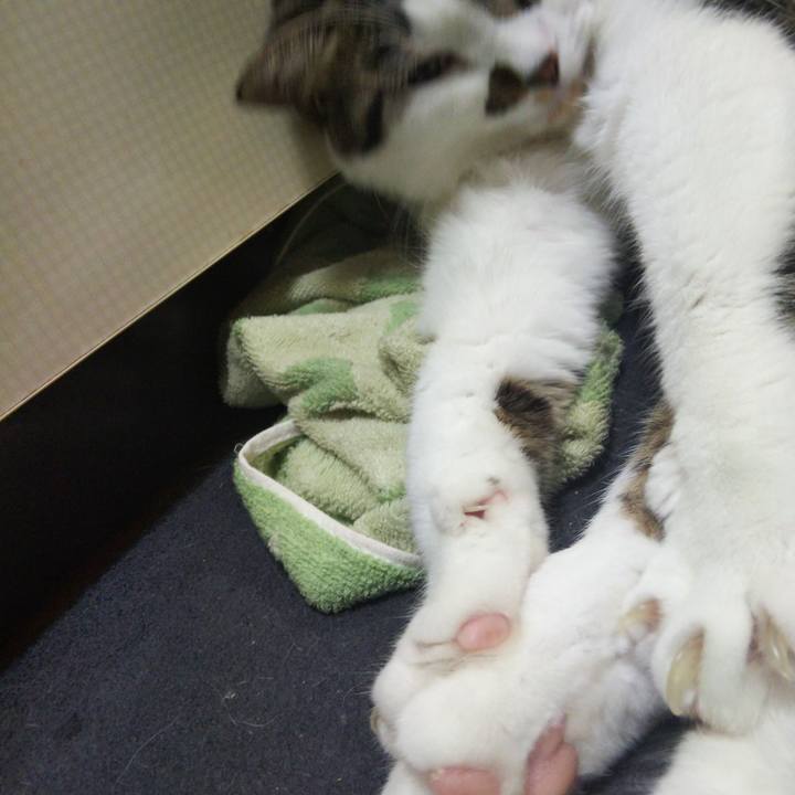 017a02ef e8c1 47bf 90f5 a766a551cf3e 1664715599215