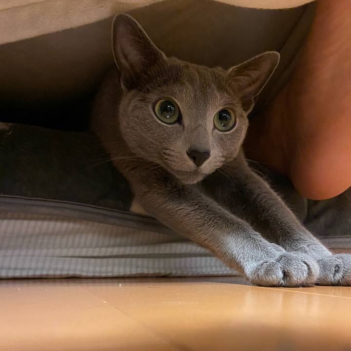 017a293e b35b 4063 8c62 0ba9fa8be419 1682983356017