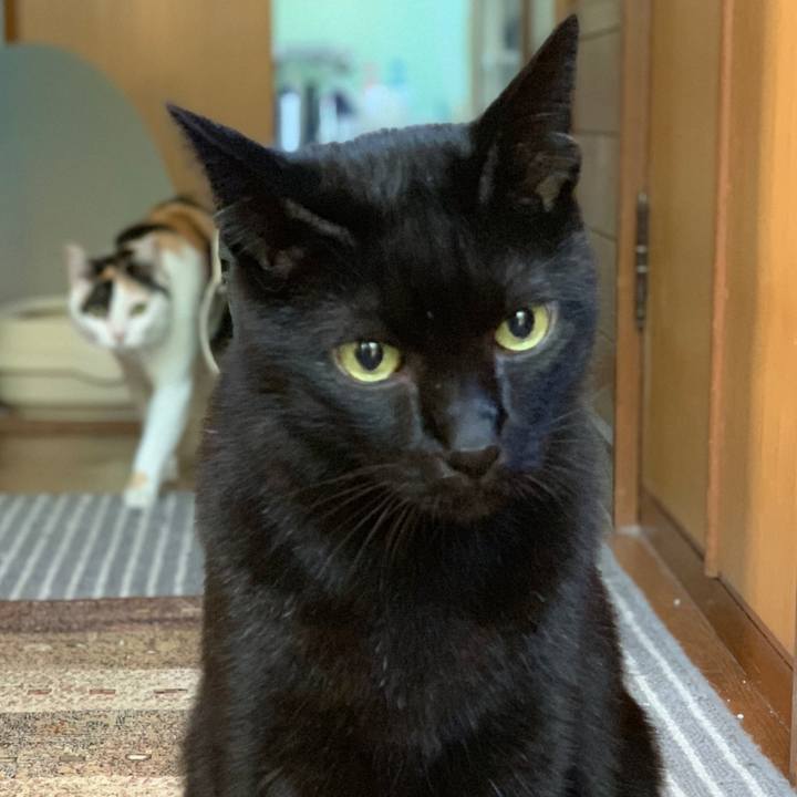 017a2f12 7dd3 4ff6 8e63 3c3f40e7e01e 1541464339089