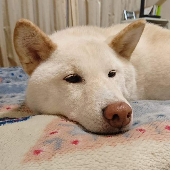 017ae98e d85c 4f69 92b1 24da874813f5 1548202146198