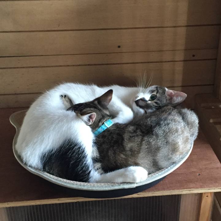 017b0a4b 12e5 4b47 86fb 9f4701dcacf8 1568418188827