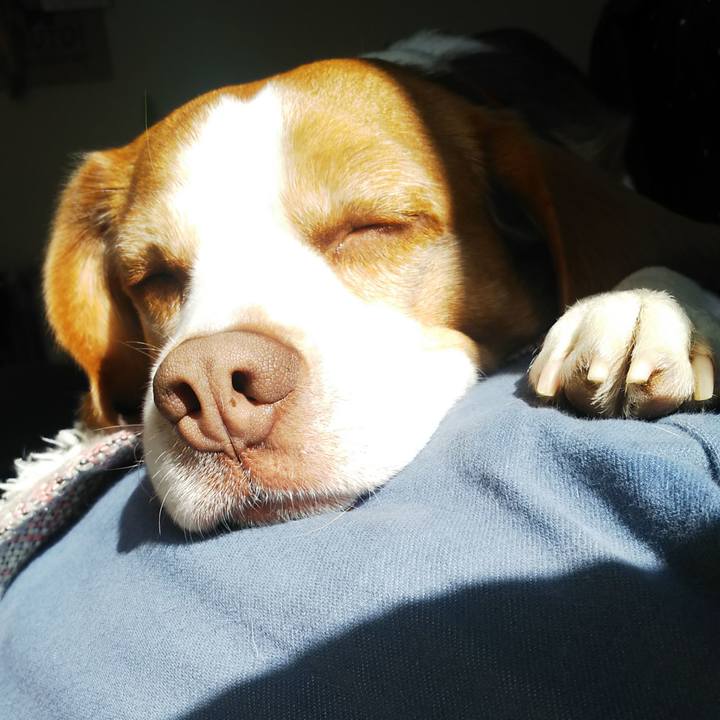 017b1d77 db5a 4420 9d55 9e6d2a1dc274 1615339305962