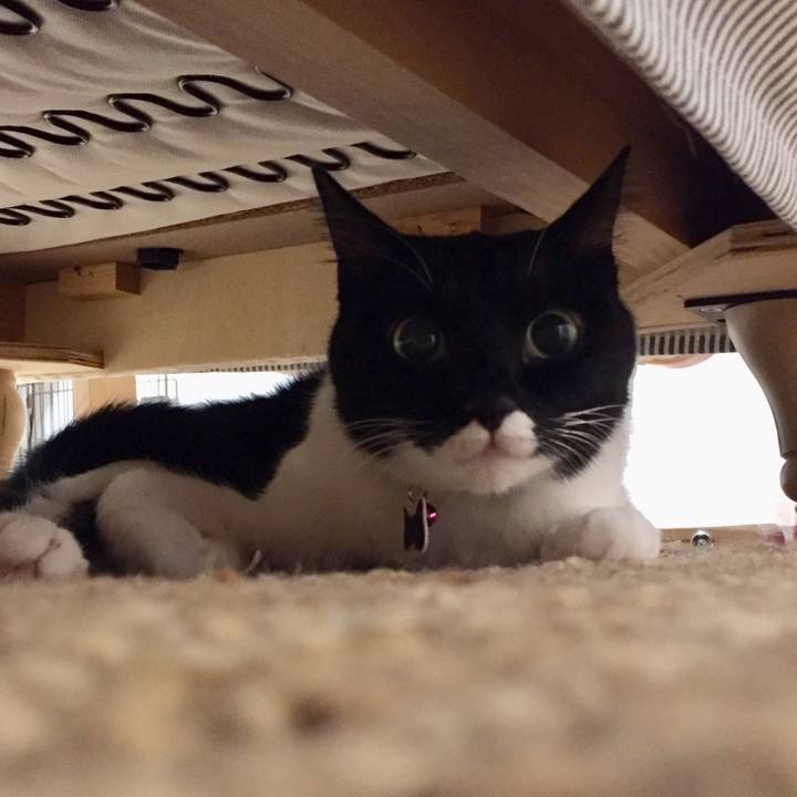 017b378e 55db 4003 84bc a252070f6a55 1542123147275