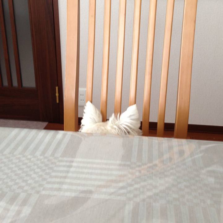 017b6d53 e128 4fe1 ac48 5ef26728f348 1534512807729