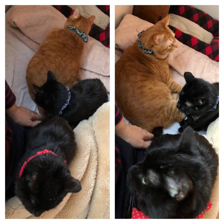 017ba573 ffda 4c82 9707 c4f79444b57c 1554065811657