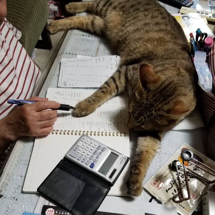 017bd83f 7078 4540 8aac af239166f446 1659107924787