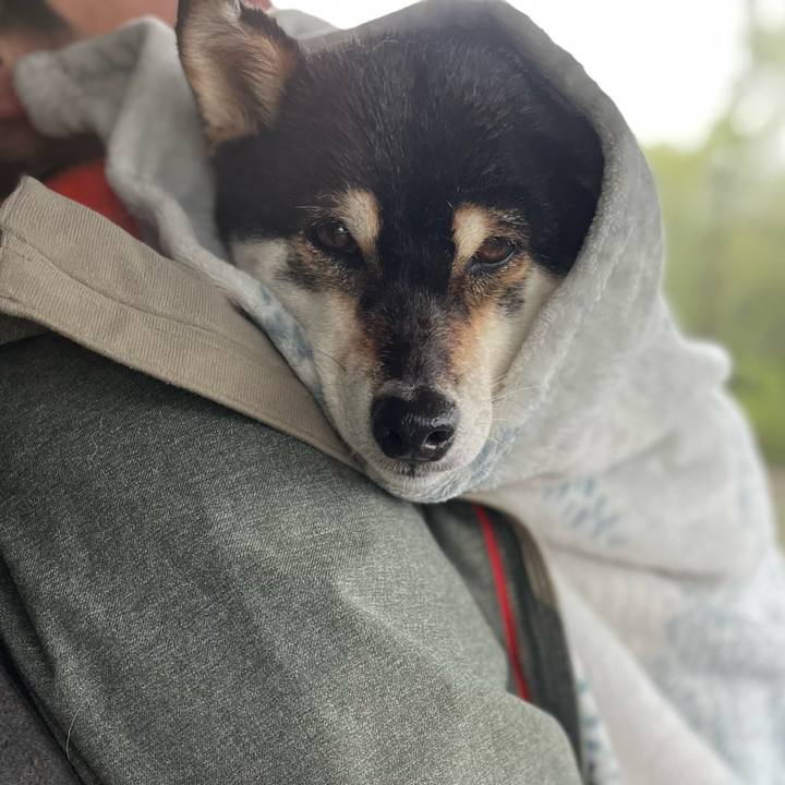 017c293f aa57 4985 83df 2ec93456ffd1 1652054337675