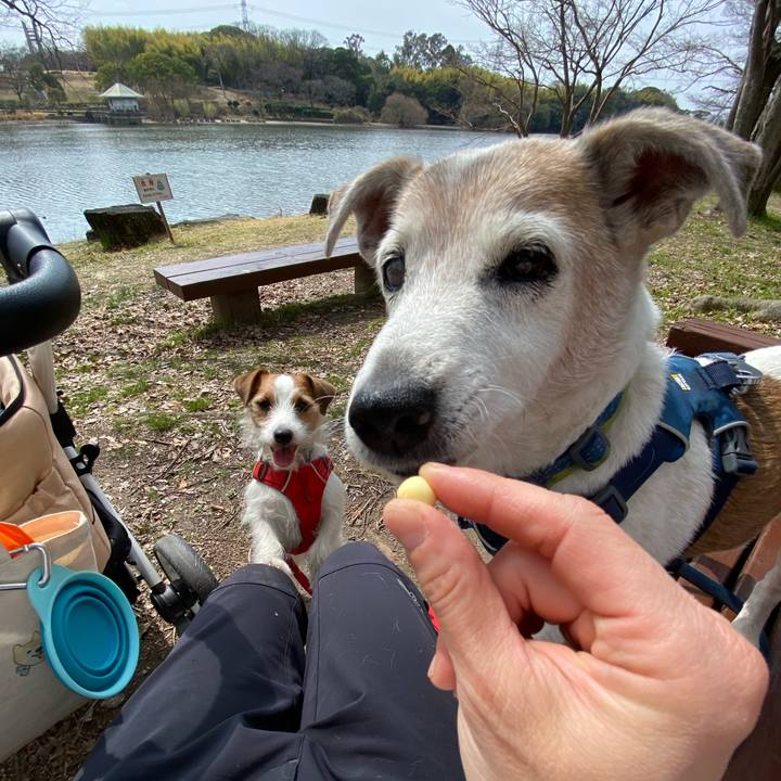 017c462d dbeb 49e1 876b a53b6fb35f84 1678594678084