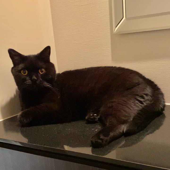 017c76bc 6078 4105 bc6e a3293833b287 1627905873023