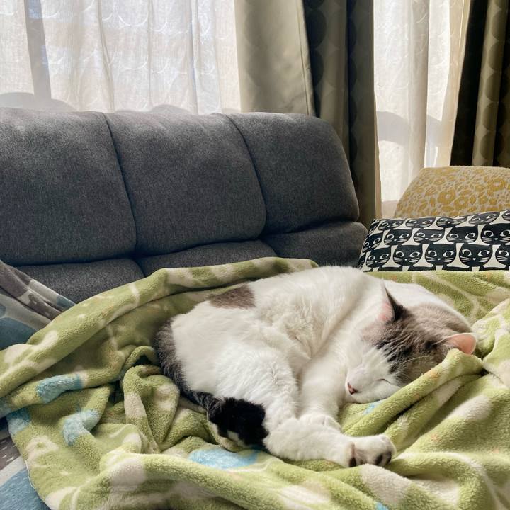 017c9055 21e4 4745 aab1 806c7e1b194c 1700364623027