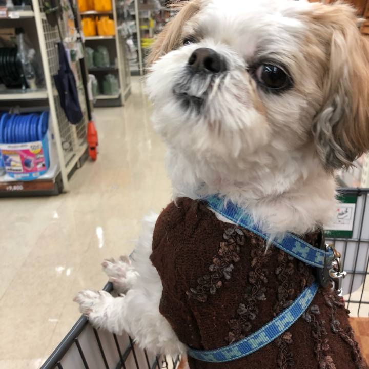 017cb2e5 0f42 415a 8a0e ee36955699a0 1575841563366