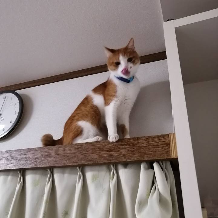 017cd50b fa54 4d94 9b69 414845555aa2 1586260348203