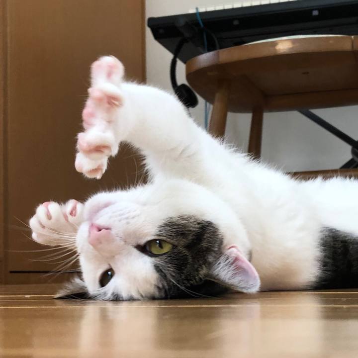 017cd5b7 f739 4c96 83b5 3c3cbe06961d 1595236708233