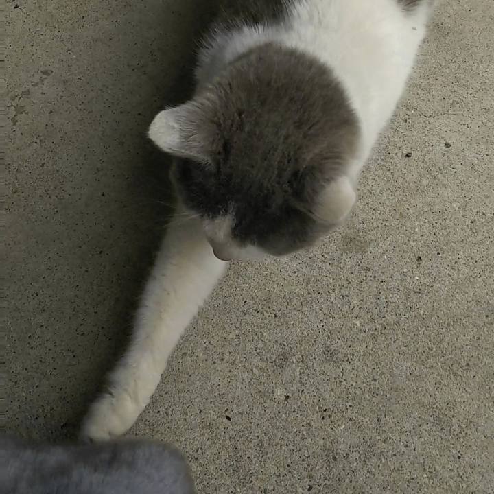 017cea97 52be 4db6 89b1 d0317b29c238 1519192836668