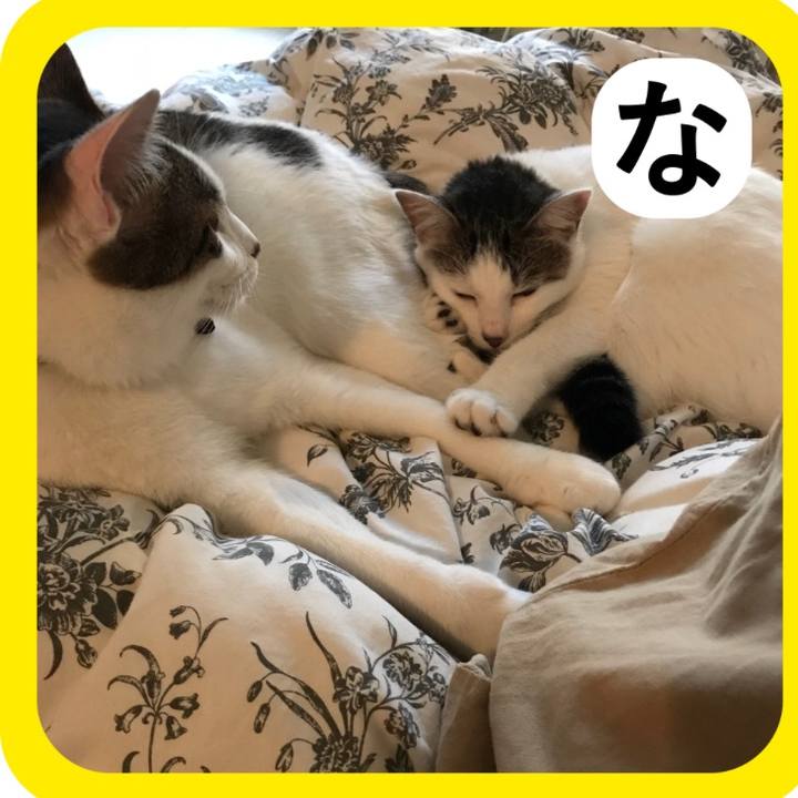 017cfbf7 0328 47a9 bb9a 774962a81458 1514791381657