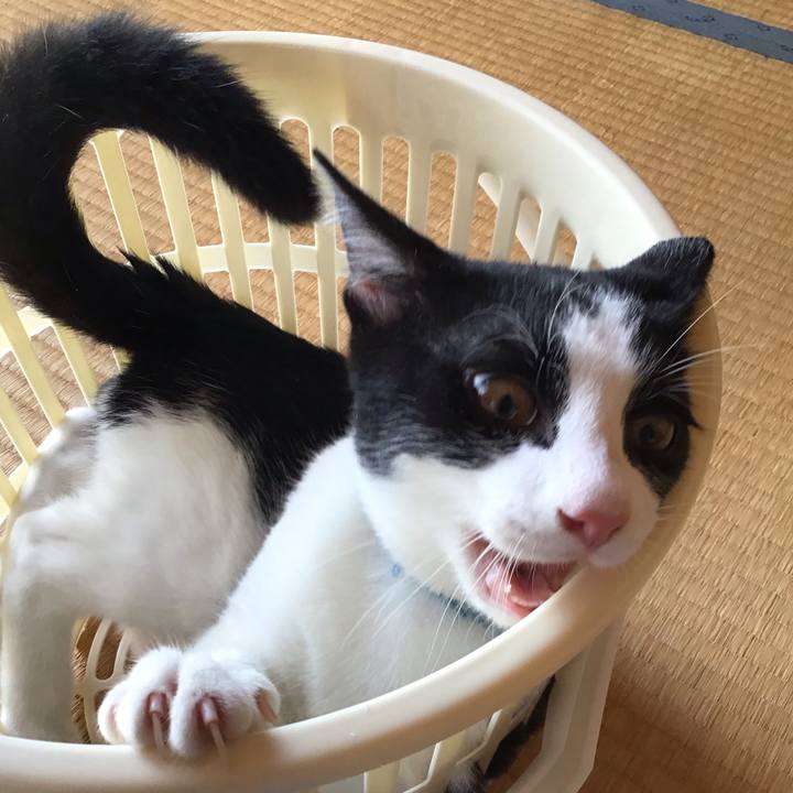 017d00fd 0818 40e4 aa70 544520cbd5e3 1631259280144