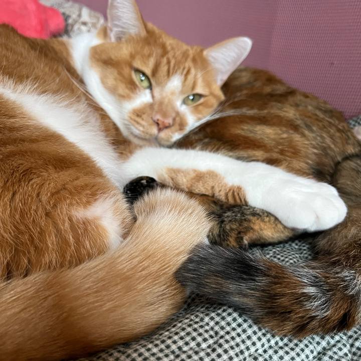 017d2014 d1fe 4224 8f53 8501f5d44841 1762053589655