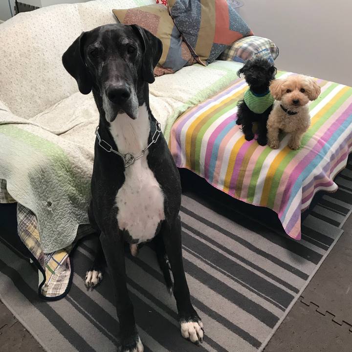 017d4bea 1b27 4a8f 9d6b 4fc1f6687e91 1526856604918