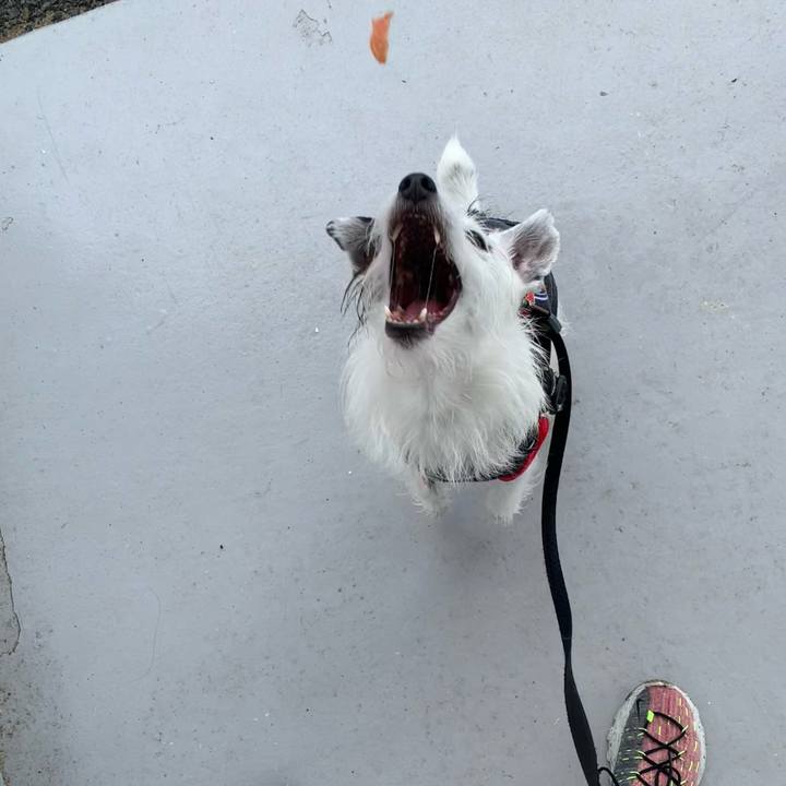 017d6c88 befc 40e7 960d bf7092e9677a 1684545188610