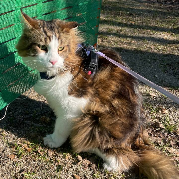 017d7343 d4b0 495d 9a69 7d9440c4420a 1680332779307