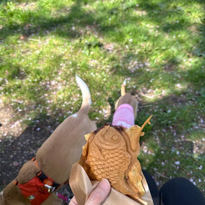 017d7c15 cb58 4254 837d ae16d1cf3dcd 1680581655423