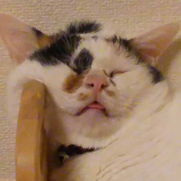 017d9256 9b62 4cee 9b53 6f2cfc024ad0 1595808311499