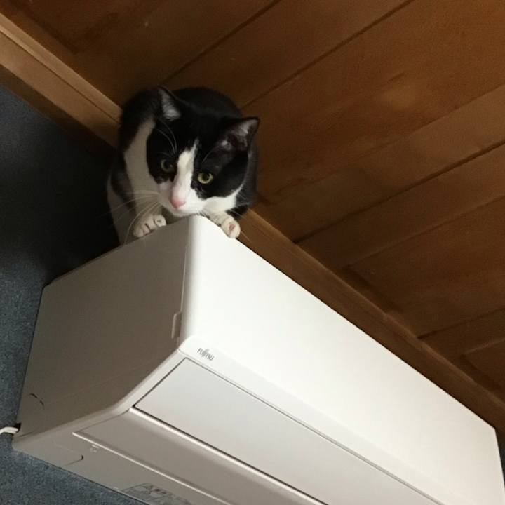 017dbdee 9085 4232 bc13 1520129e893b 1679486305012