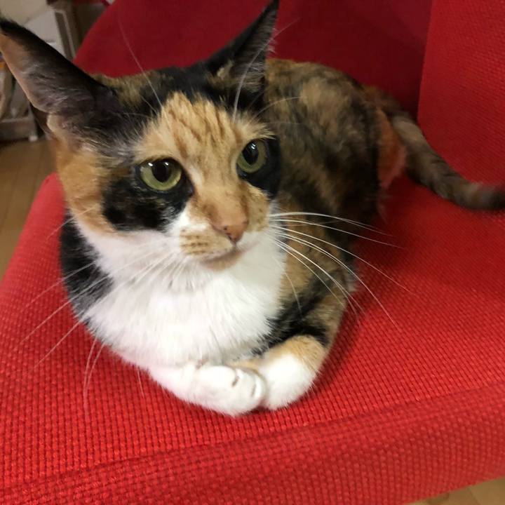 017dc1a7 8468 4649 99bd c9208ee4b695 1542071711455