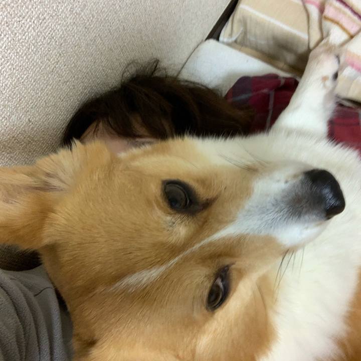 017dd563 cb5e 4195 bbab 8850a069ac28 1579444594924