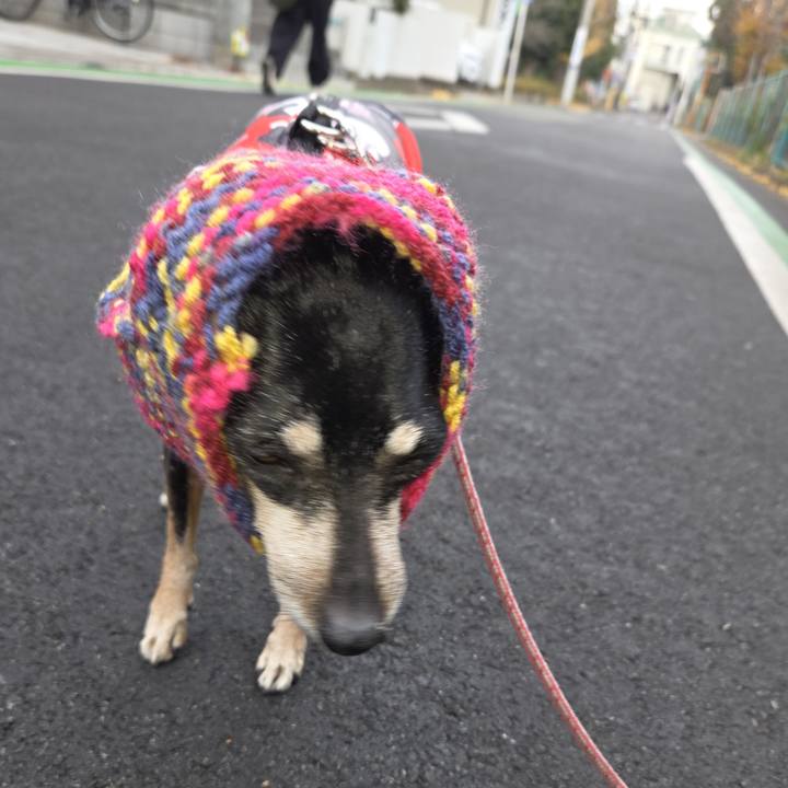 017de79d b577 4942 afa8 14384e7f830f 1766194917075