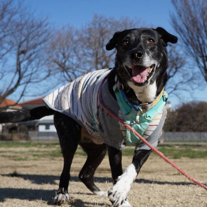 017e0733 1d50 49b9 9ca6 526c4dffe410 1773537897432