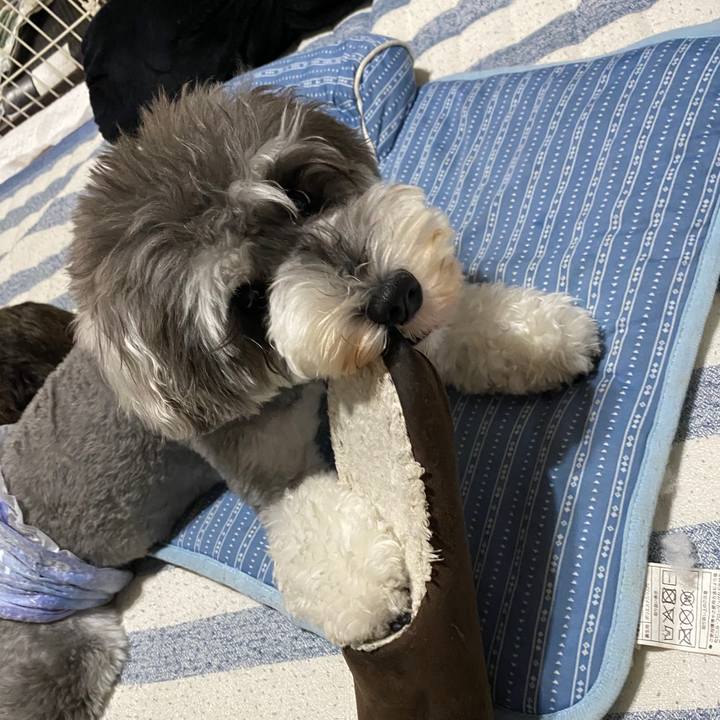 017e0a06 ae49 49a5 8c28 61c215fe7c05 1594631180296