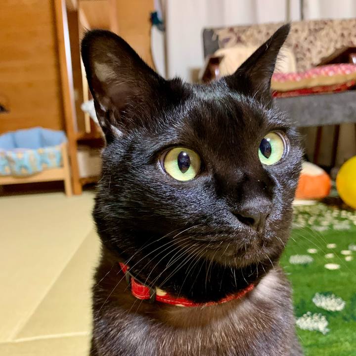 017e2a88 5886 4560 a263 c784c8f86a82 1607778577453