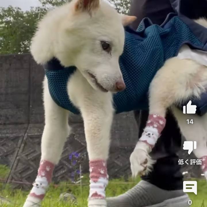 017e4221 73cc 48a5 bdc1 6de0a8ad4d64 1687703258158