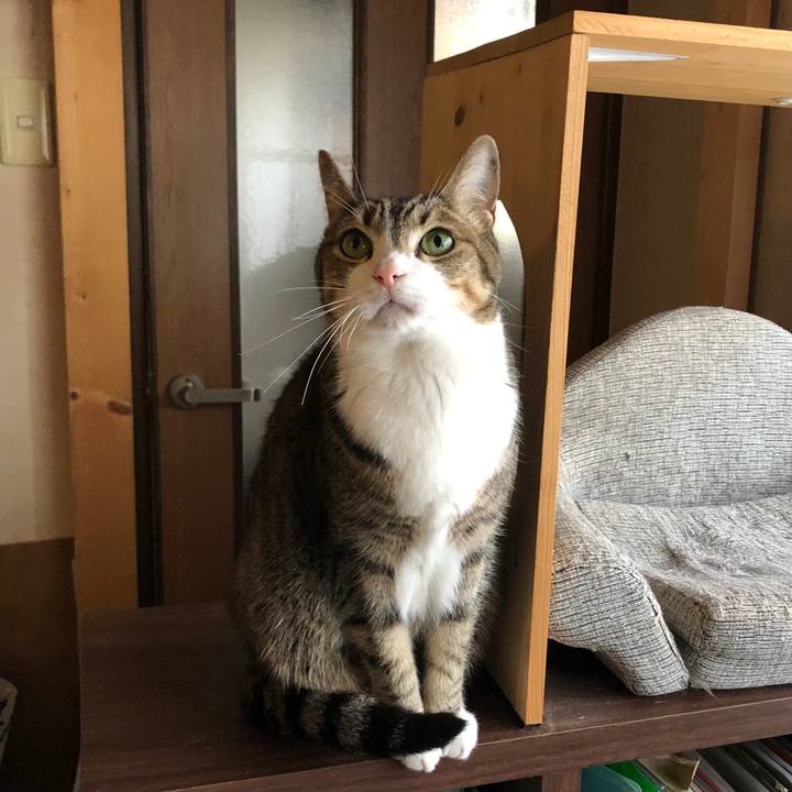 017e46f1 2d2b 4c62 bdfa 8f4d67c5a297 1650585508908