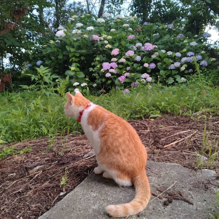 017e55e2 7467 45e8 9100 6076e67a8e90 1751233619611