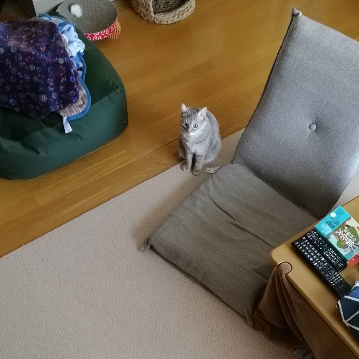 017e81b1 7d5e 4882 8b36 75a1228d3a90 1543022474148