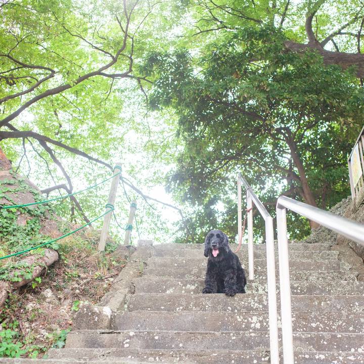 017e836a d187 4308 b7e8 829fabda656e 1566919925590