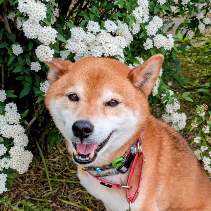 017e8e2e 250b 4ef6 a3f2 242a47b592f6 1745645755695