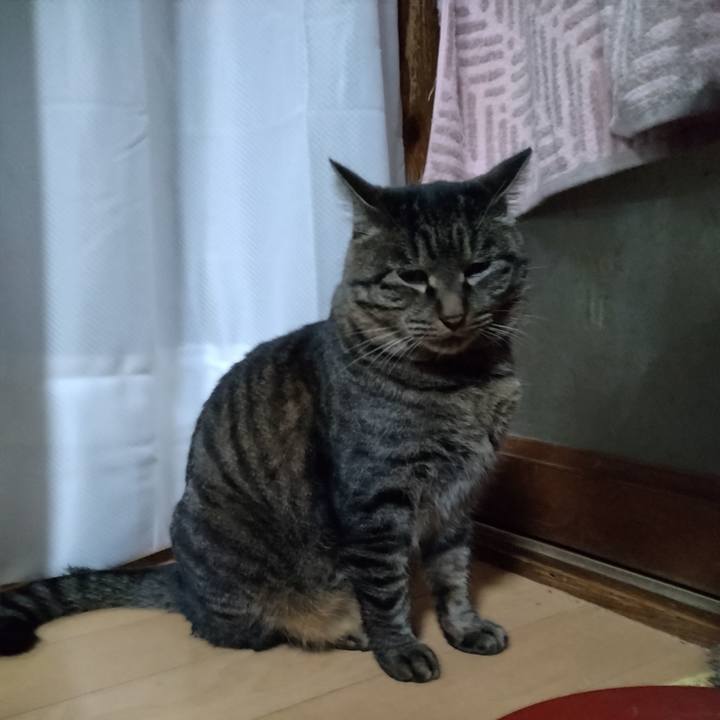 017ed28e c1ad 4bc8 af32 03cc678e5089 1671578036032