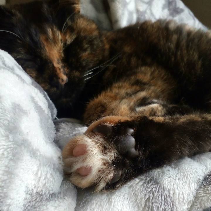 017ed3da c136 4f8f 8018 7cd945d42afa 1553218032595