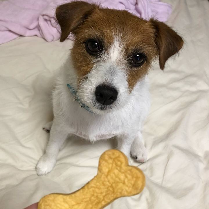 017f1ea6 fc0c 4b8e a27a 6896076d8625 1533989305433