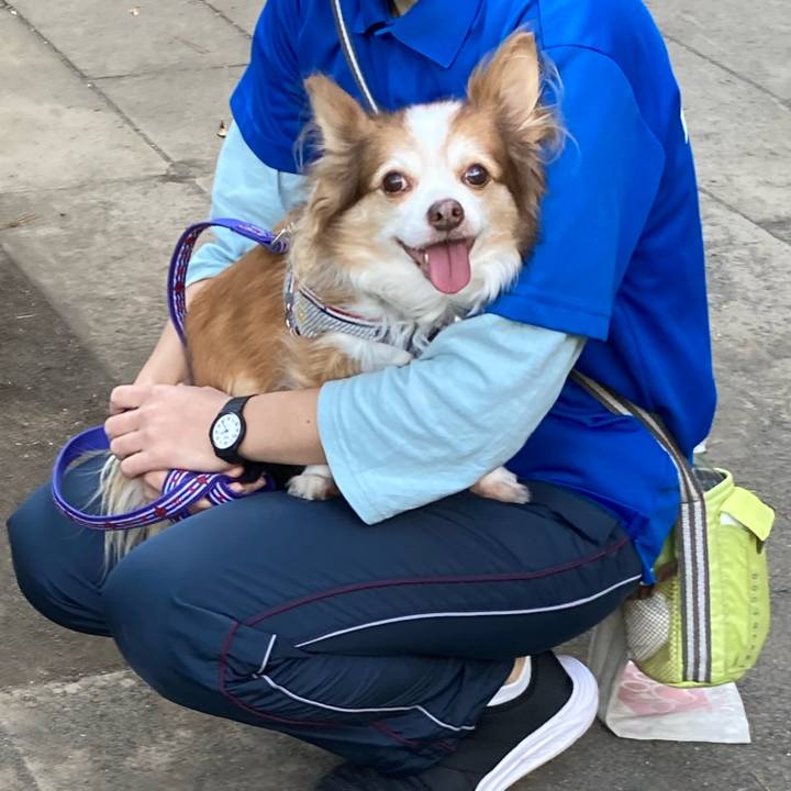 017f2305 00a6 4b9e b95e 253e50f6c38a 1669332125638