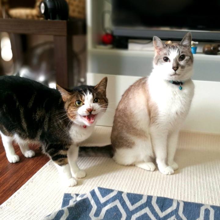 017f26ea 1b7e 4d82 ac81 7834548ee08a 1563071084590