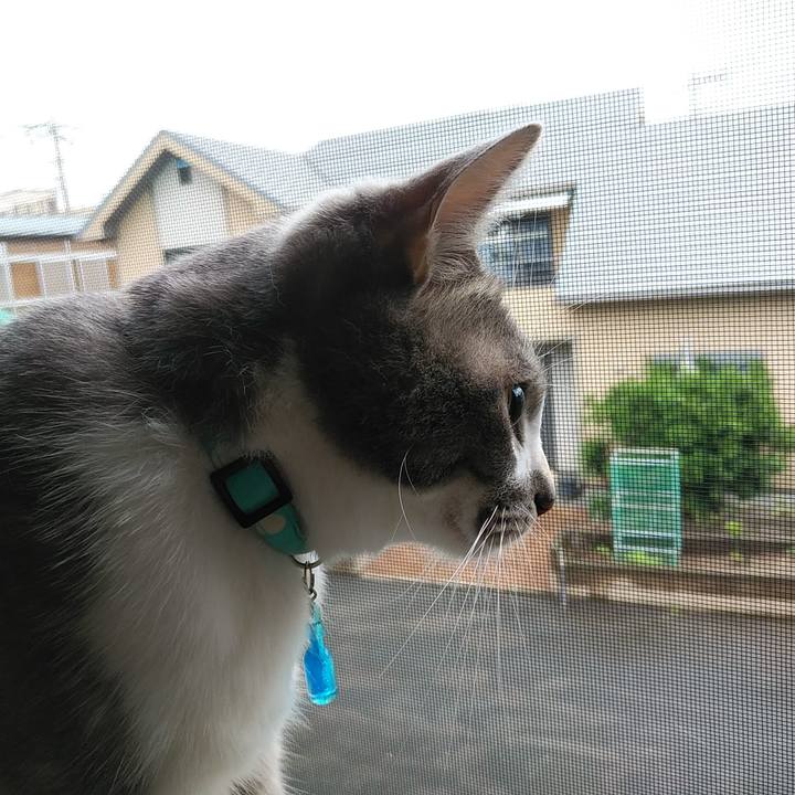 017f3ca7 5cc8 4a3e a7b0 b5c200ba02a4 1592867219988