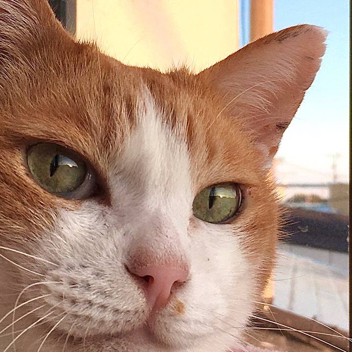 017f42f0 aee2 479d 9572 c35187ea3efc 1573536641406