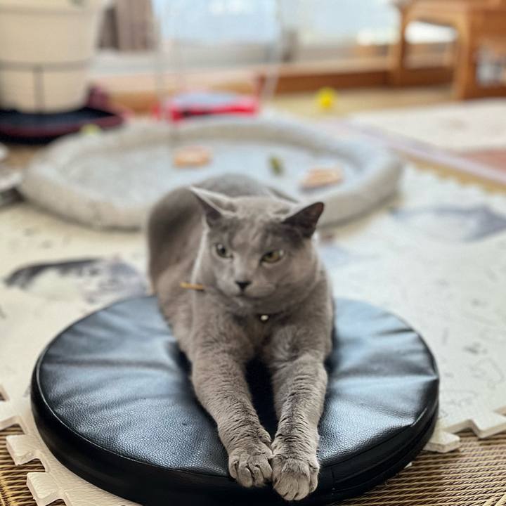 017f8049 c71a 49e1 bb8b a838f326e10d 1750668677855